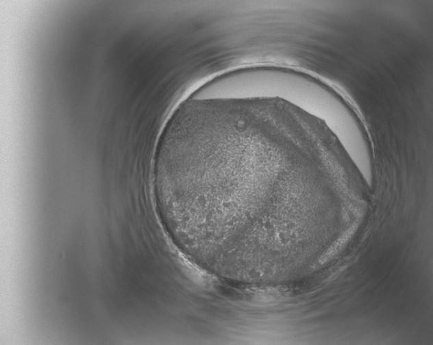 X0000080160895200612302150