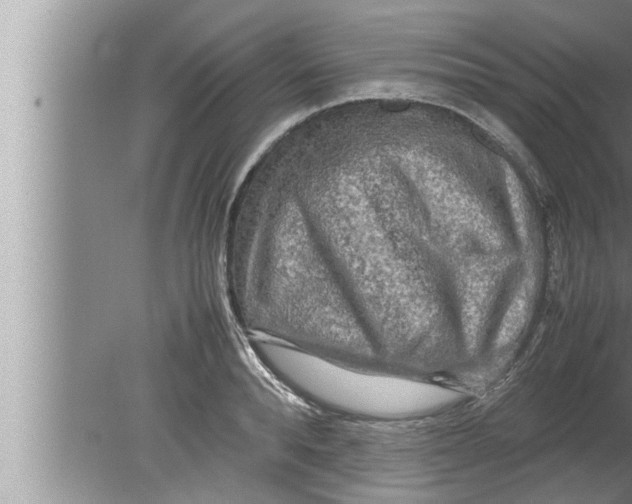 X0000080160896200612302150