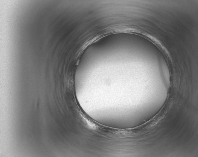 X0000080160897200612302150