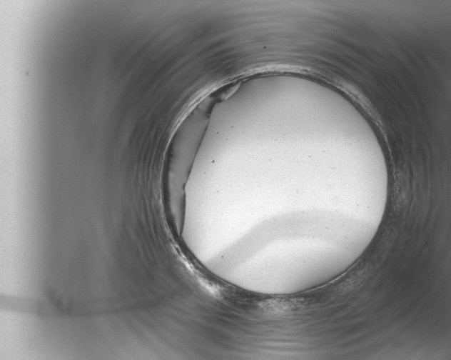 X0000080160898200612302150