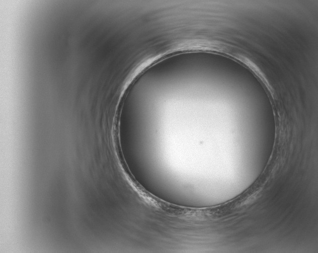 X0000080160901200612302150