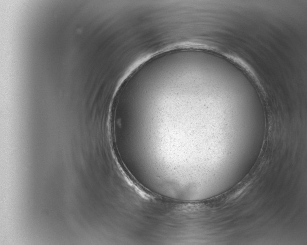 X0000080160902200612302150