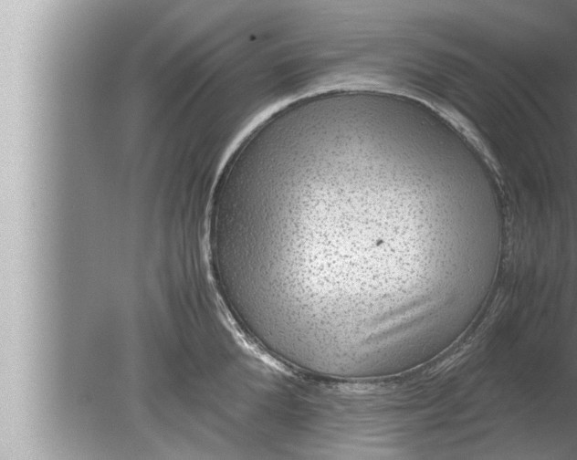 X0000080160904200612302150