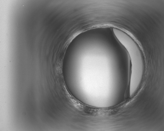 X0000080160905200612302150