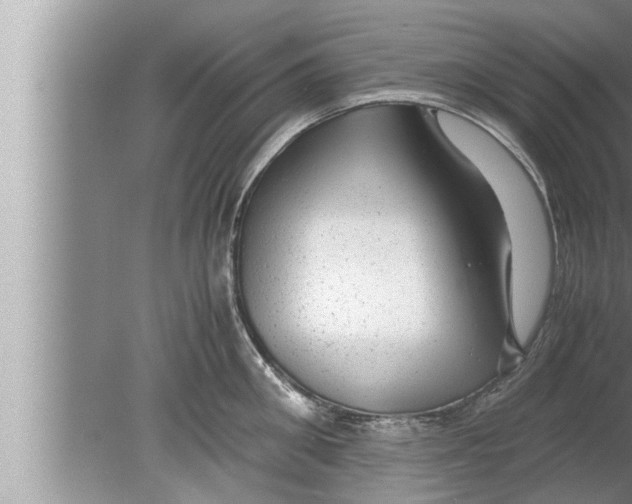 X0000080160906200612302150