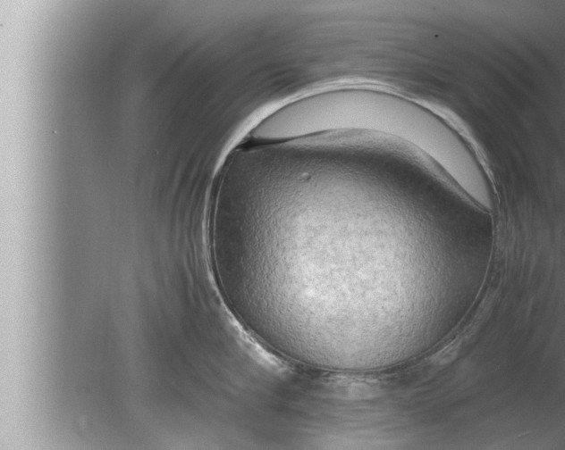 X0000080160910200612302150