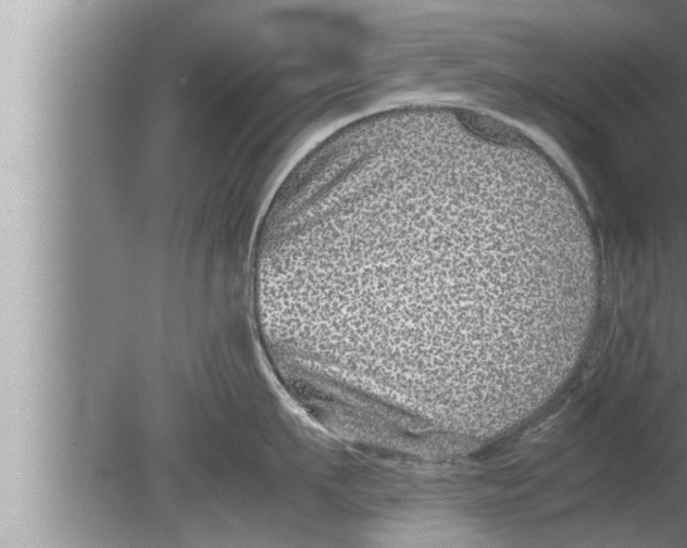 X0000080160911200612302150