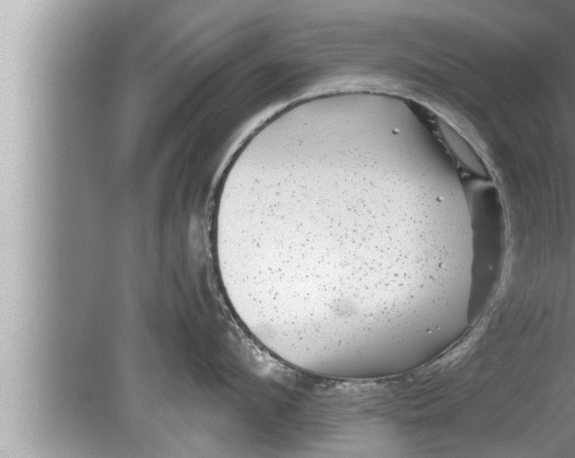 X0000080160912200612302150