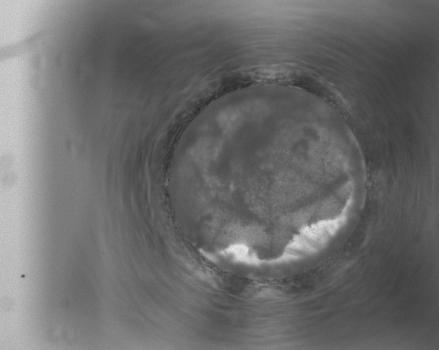 X0000080160913200612302149