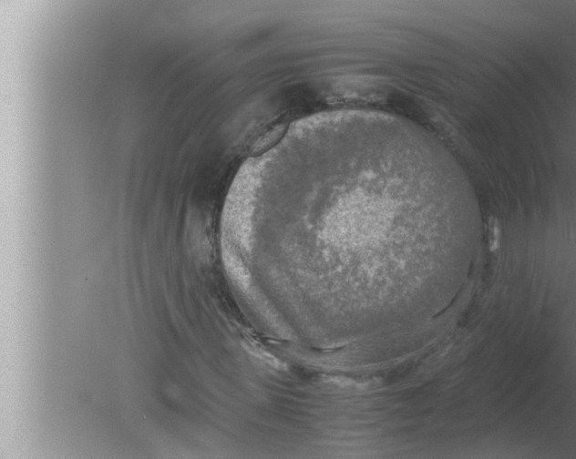 X0000080160915200612302149