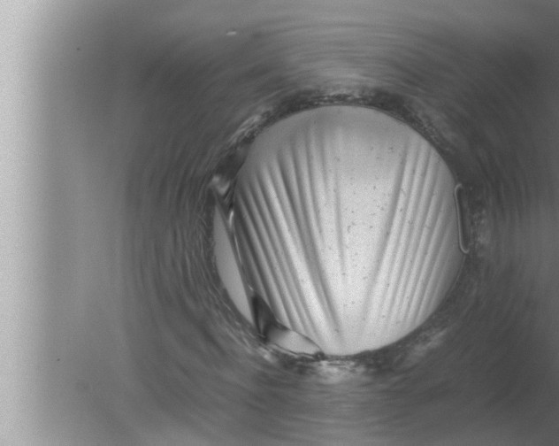 X0000080160916200612302149