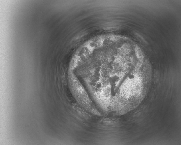 X0000080160917200612302149