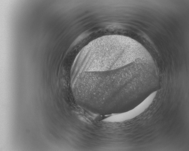 X0000080160919200612302149