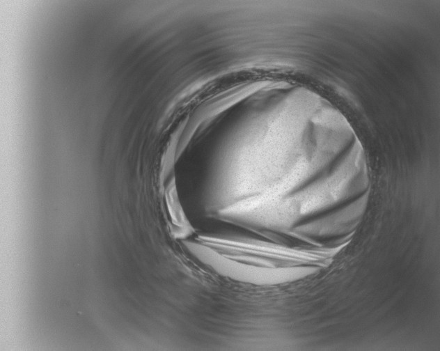 X0000080160920200612302149