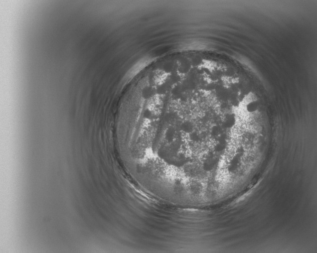 X0000080160921200612302149