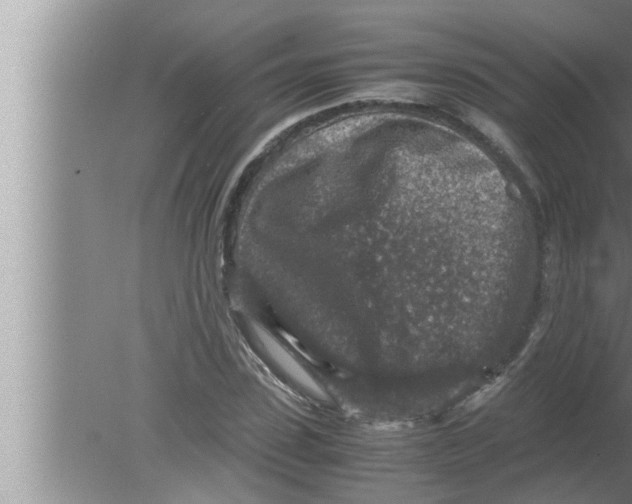 X0000080160923200612302149