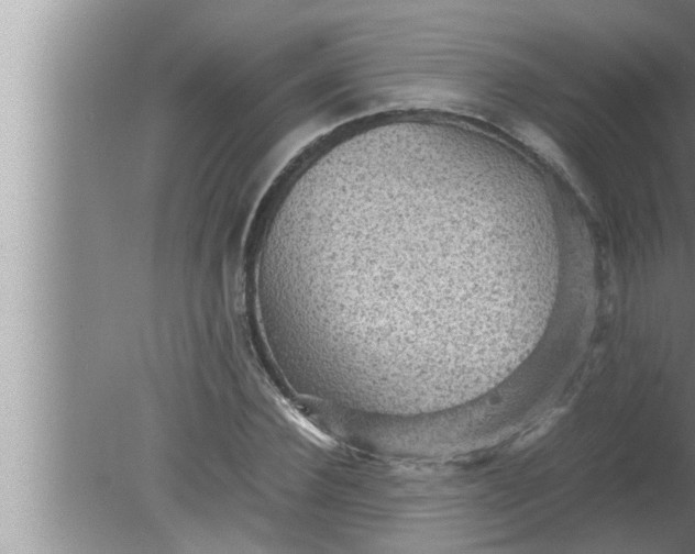 X0000080160924200612302149