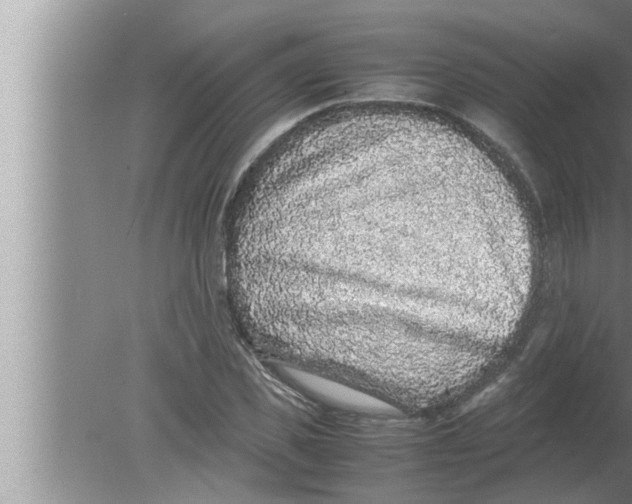 X0000080160925200612302149