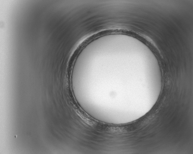 X0000080160927200612302149