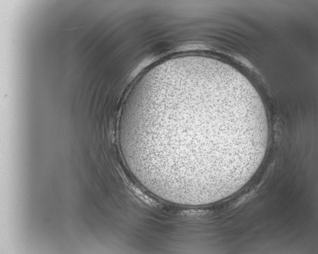 X0000080160929200612302149