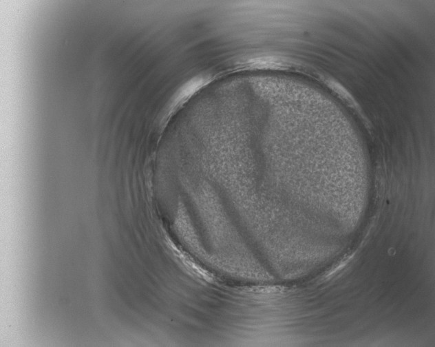 X0000080160930200612302150