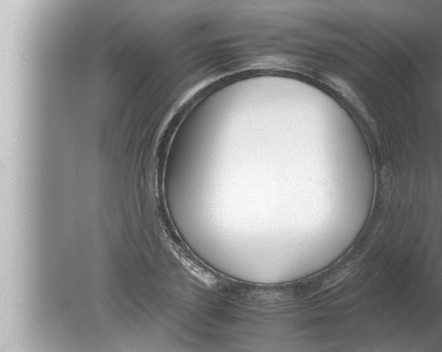 X0000080160931200612302150