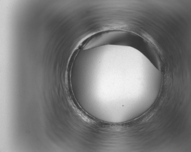 X0000080160932200612302150