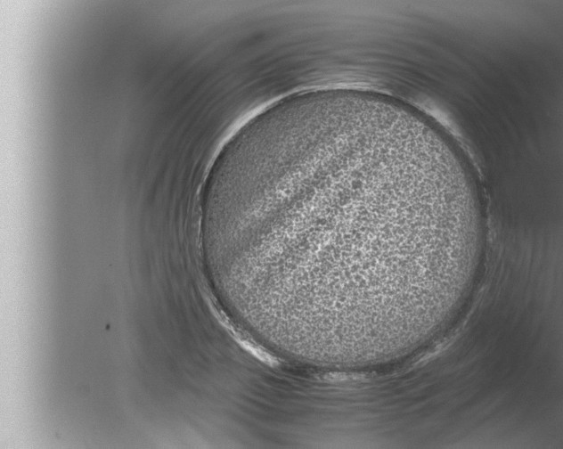 X0000080160933200612302150