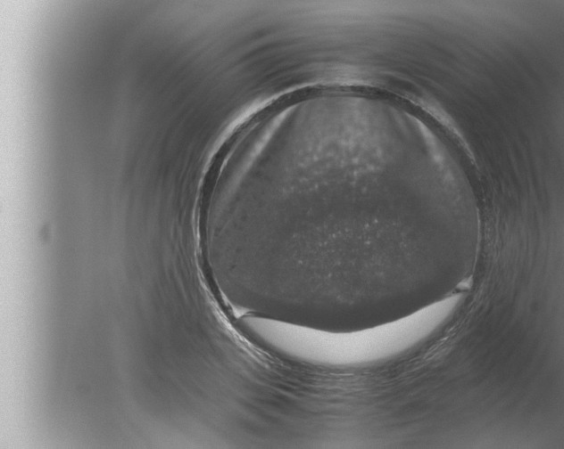 X0000080160935200612302150