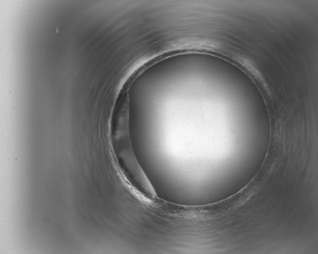 X0000080160936200612302150