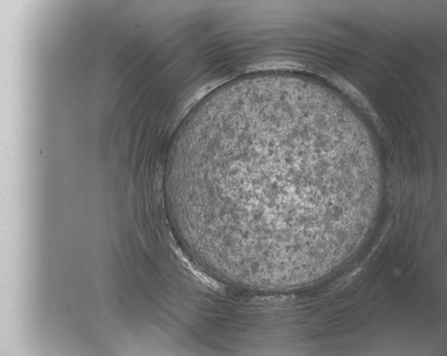 X0000080160937200612302150