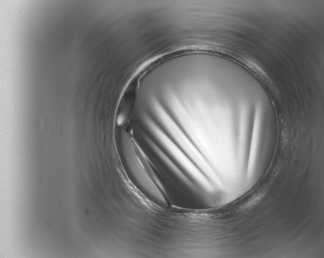 X0000080160940200612302150