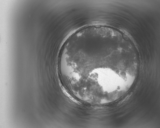 X0000080160941200612302150