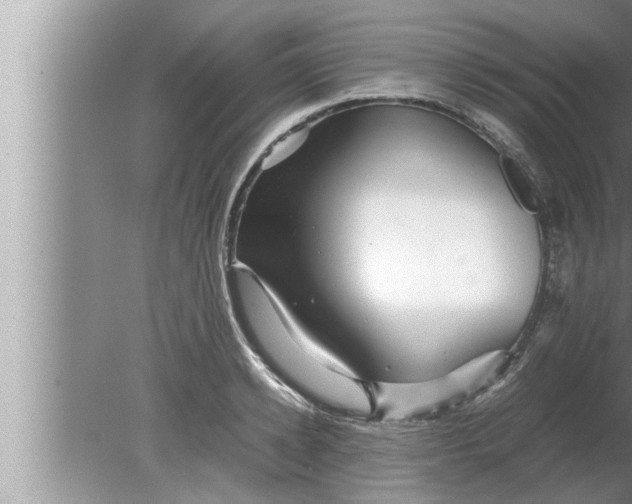 X0000080160942200612302150