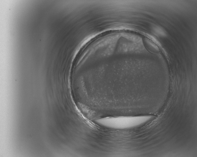 X0000080160943200612302150