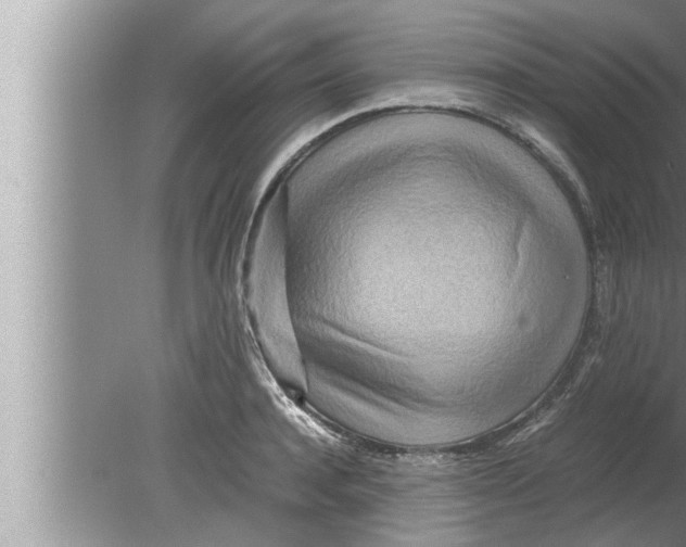 X0000080160944200612302150