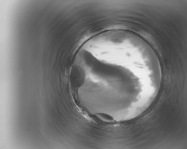 X0000080160945200612302150