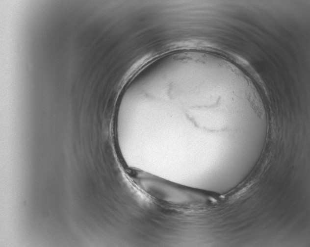 X0000080160946200612302150