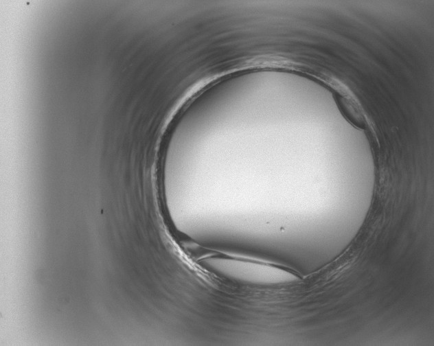 X0000080160947200612302150