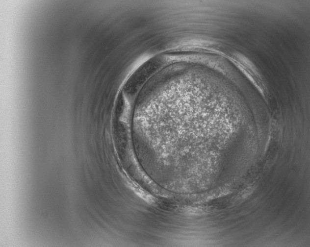 X0000080160948200612302150