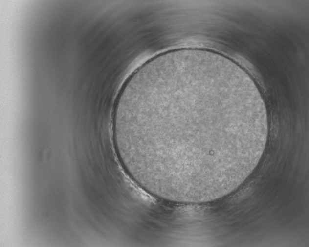 X0000080160950200612302150