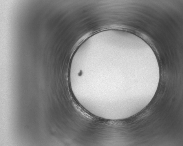 X0000080160954200612302150