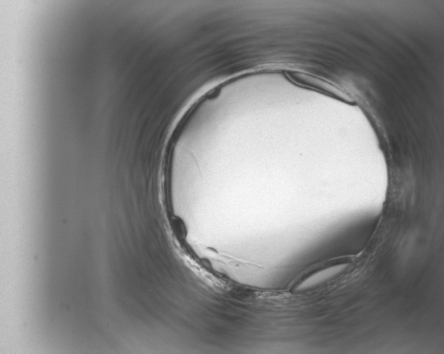 X0000080160955200612302150