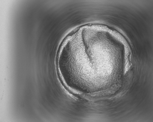 X0000080160959200612302150