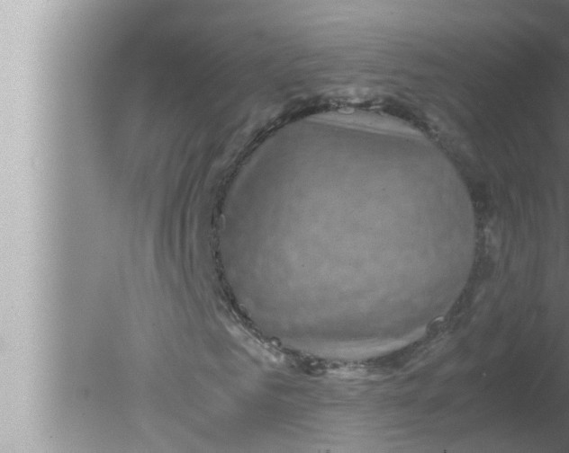 X0000080160961200612302149