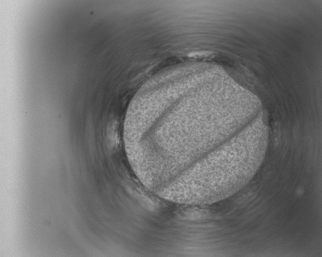 X0000080160962200612302149