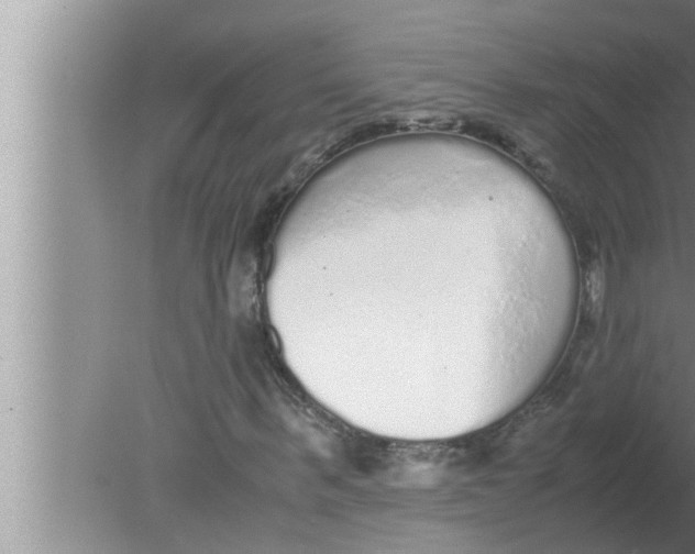 X0000080160963200612302149