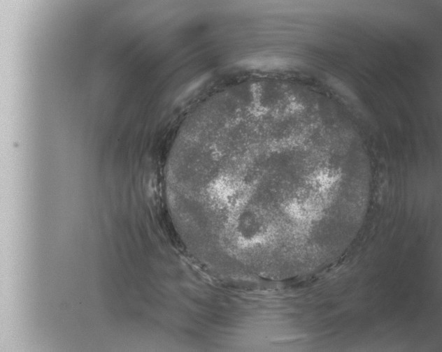 X0000080160966200612302149