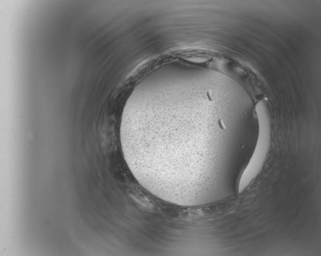 X0000080160968200612302149