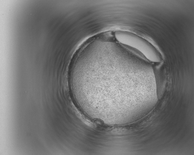 X0000080160972200612302149